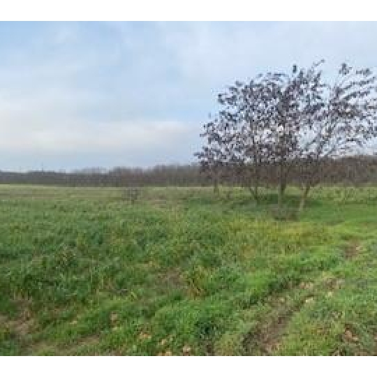  Annonces VALENCE : Ground | VALENCE (26000) | 0 m2 | 112 000 € 