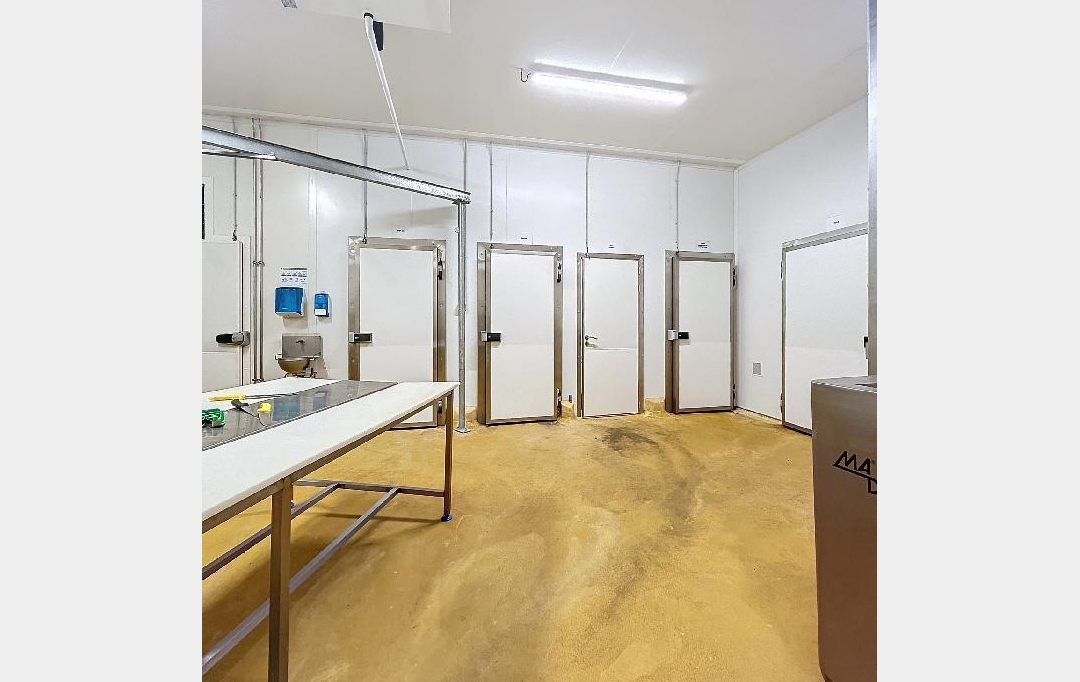 Annonces VALENCE : Local / Bureau | CHABEUIL (26120) | 483 m2 | 760 000 € 
