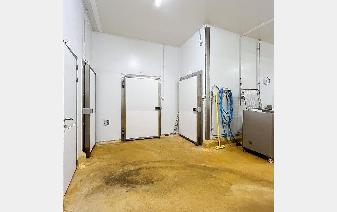 Annonces VALENCE : Local / Bureau | CHABEUIL (26120) | 483 m2 | 760 000 € 